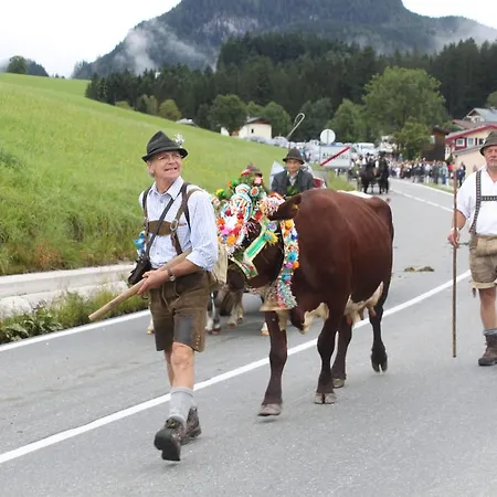 Lägenhetshotell Hornspitz Family 4*