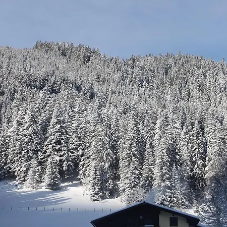 Lägenhetshotell Hornspitz Family 4*